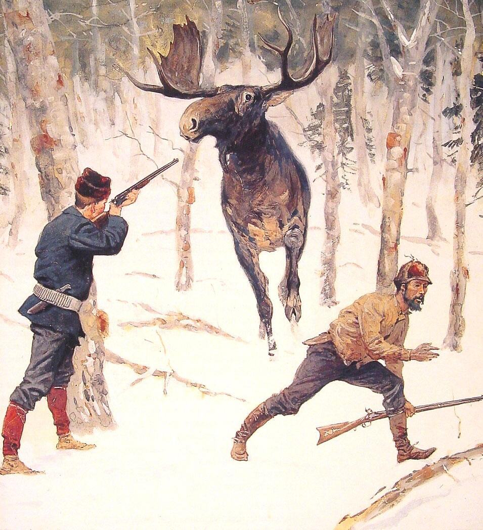 Moose Canvas Paintings